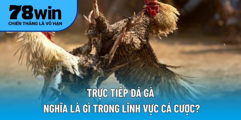 Trực tiếp đá gà nghĩa là gì trong lĩnh vực cá cược?